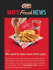 Email Inspiration from Raising Cane's