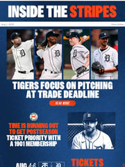 Email Inspiration from tigers.com