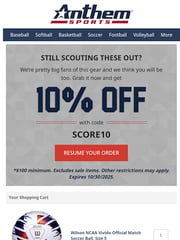 Email Inspiration from Anthem Sports