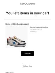 Email Inspiration from SEPOL Shoes