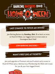 Email Inspiration from Browns Barking Backers