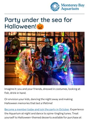 Email Inspiration from Monterey Bay Aquarium Membership