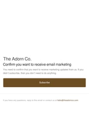 Email Inspiration from The Adorn Co.