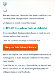 Email Inspiration from Vibrants Patches