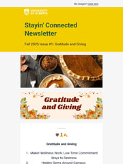 Email Inspiration from Wellness Supports