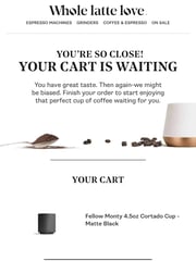 Email Inspiration from Whole Latte Love