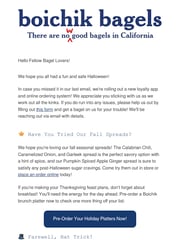 Email Inspiration from Boichik Bagels