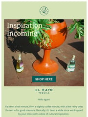 Email Inspiration from El Rayo Tequila