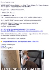 Email Inspiration from FINN da dog