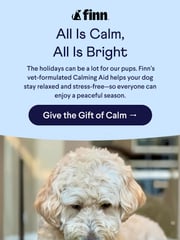 Email Inspiration from Finn