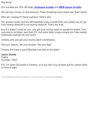 Email Inspiration from Jason from Flakes
