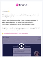 Email Inspiration from Natalie Santos