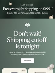 Email Inspiration from Therabody Holiday Sale