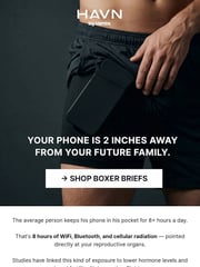 Email Inspiration from HAVN