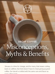 Email Inspiration from Methodical Coffee