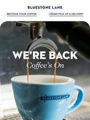 Email Inspiration from Bluestone Lane