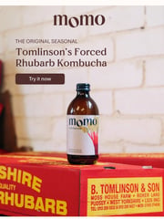 Email Inspiration from MOMO Kombucha