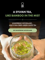 Email Inspiration from O5 Tea | Bailey, Geoff & Daniel