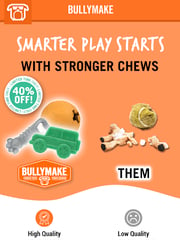 Email Inspiration from BULLYMAKE