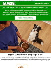 Email Inspiration from IAMS