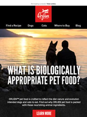 Email Inspiration from ORIJEN Pet Foods