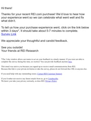 Email Inspiration from REI Research