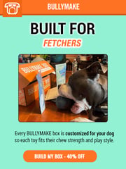 Email Inspiration from BULLYMAKE