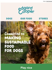 Email Inspiration from Edgard & Cooper