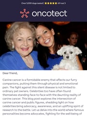 Email Inspiration from 🐶 Oncotect