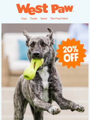 Email Inspiration from West Paw