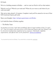 Email Inspiration from Birdies