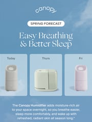 Email Inspiration from Canopy