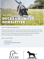 Email Inspiration from Ducks Unlimited