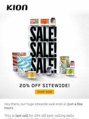 Email Inspiration from KION