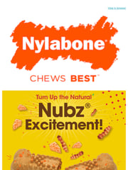 Email Inspiration from Nylabone Products