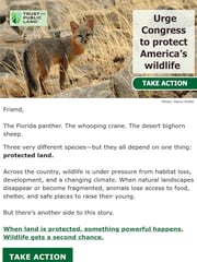 Email Inspiration from Take Action @ Trust for Public Land