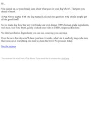 Email Inspiration from A Pup Above