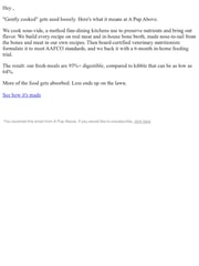 Email Inspiration from A Pup Above