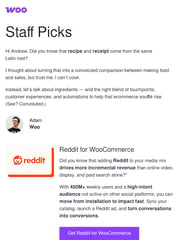 Email Inspiration from Adam at Woo