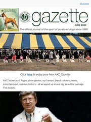 Email Inspiration from AKC Gazette