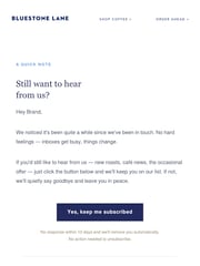 Email Inspiration from Bluestone Lane