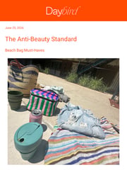 Email Inspiration from Daybird