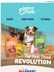 Email Inspiration from Edgard & Cooper