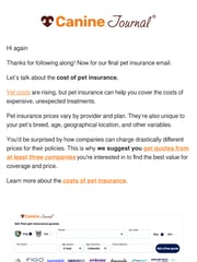 Email Inspiration from Michelle | Canine Journal
