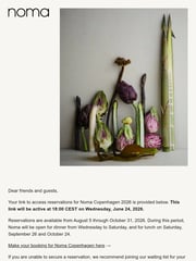 Email Inspiration from Noma