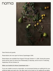 Email Inspiration from Noma