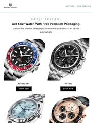 Email Inspiration from Pagani Design Official Store