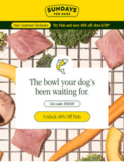 Email Inspiration from Sundays for Dogs