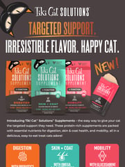 Email Inspiration from Tiki Pets