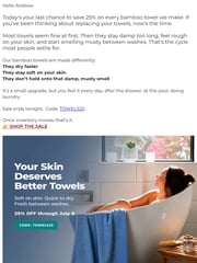 Email Inspiration from BedVoyage